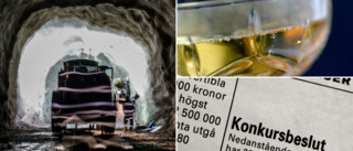 Turist- och hotellföretag, gruvbolag och tillverkare av alkoholhaltiga drycker • Sex konkurser senaste månaden – här är företagen som föll