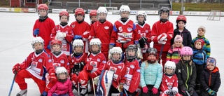 Ett höstlov med boll och puck: "Roligt"