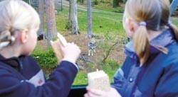 Djurvårdare för en dag i safariparken