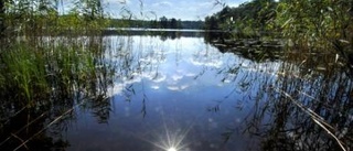 Västervikare ska kartlägga sjöar åt SMHI