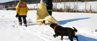 Hunden och matte hamnade i kanalen