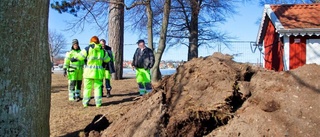 Arkeologer letar fynd runt Slottsholmen