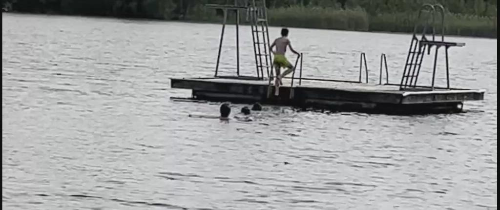 Puffvideo, Edvin Lundell fågelattack