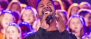 Lundvik och Stengård i S:t Nicolai