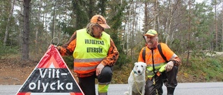 Här sker de flesta viltolyckorna