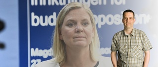 "Att en regering bildas är en sak och dess budget är en annan"