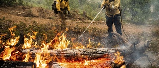 Bromsad spridning av brand nära Yosemite