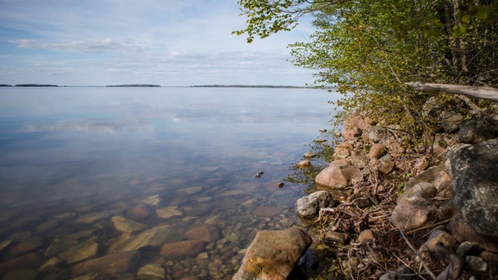 Området ligger utmed Hjälmarens nordvästra strand och är bevuxen med löv- och barrträd.