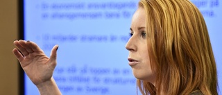 Debatt: ”Fälldinläget blir dyrköpt för Lööf och C”