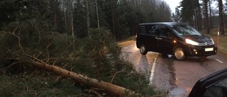 Tågstopp, strömavbrott och nedfallna träd