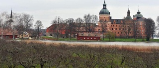 Ny slottsfogde är på gång till Gripsholm