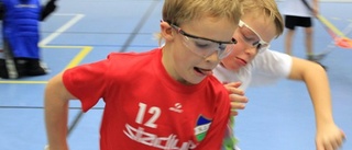 Innebandy lockar nya inbitna