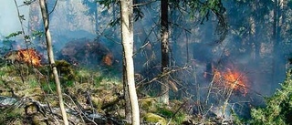 Skogsbrand efter svedjebränning