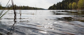 Trots regnet – bevattningsförbudet kvarstår