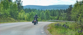 Motorcyklist krockade med fågel