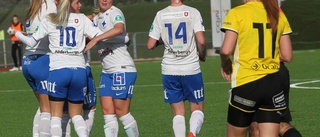 Meriterad duo i IFK:s elitsatsning