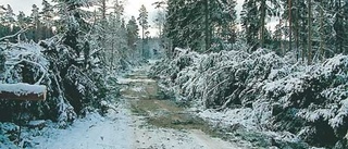 Markägare får ny chans till bidrag