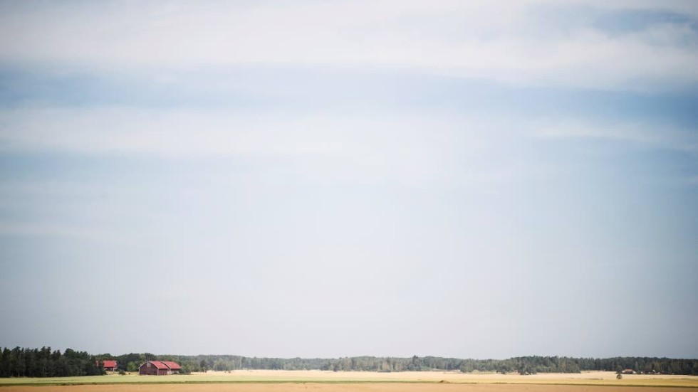 Årets värmebölja är en signal om att en ordentlig omställning är nödvändig, skriver Rebecka Hovenberg (MP).