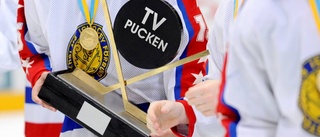 Östgötsk glädje i TV-pucken