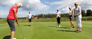 Golfvecka drar rekordmånga