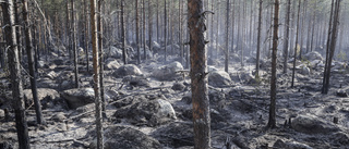 Med värmen ökar risken för skogsbrand