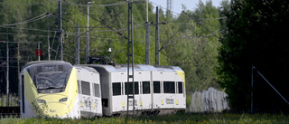 Trafikverket: Olyckor bakom försenade tåg