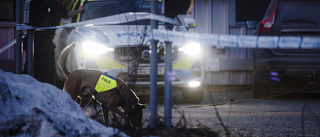 Man häktad efter skottlossning