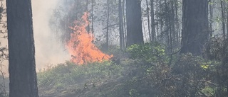 Många larm om brand i Vrinneviskogen