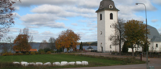 Kyrkbröllop gör Norra Vi känt