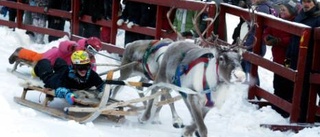 Snöfestivalen sprider ut sig