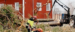 Ljusare och säkrare i Brunnsparken