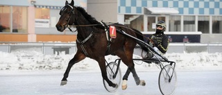 Hanna sitter bakom V65-spiken igen