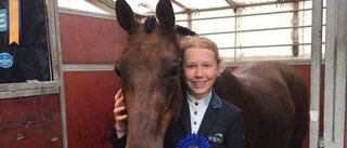 Framgångar vid Falsterbo Horse Show