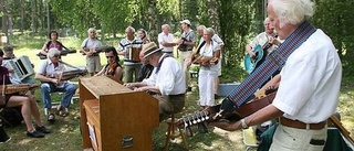 Sahlströmsstämma i soligt Vendel