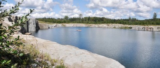 Fågelparasiter vid badplats