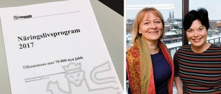 Nytt program för näringslivet antaget