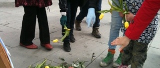 Blommor som stöd för utförsäkrade