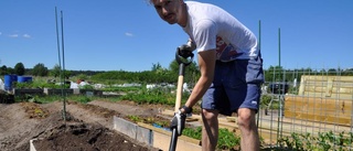 Han fixar sommar på täppan