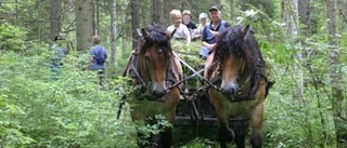 Slåtterdags i Iggelbo naturreservat