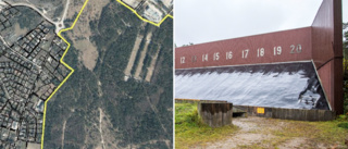 Vibblebo får tummen ner • Länsstyrelsen säger nej till naturreservat mellan Visborg och Vibble