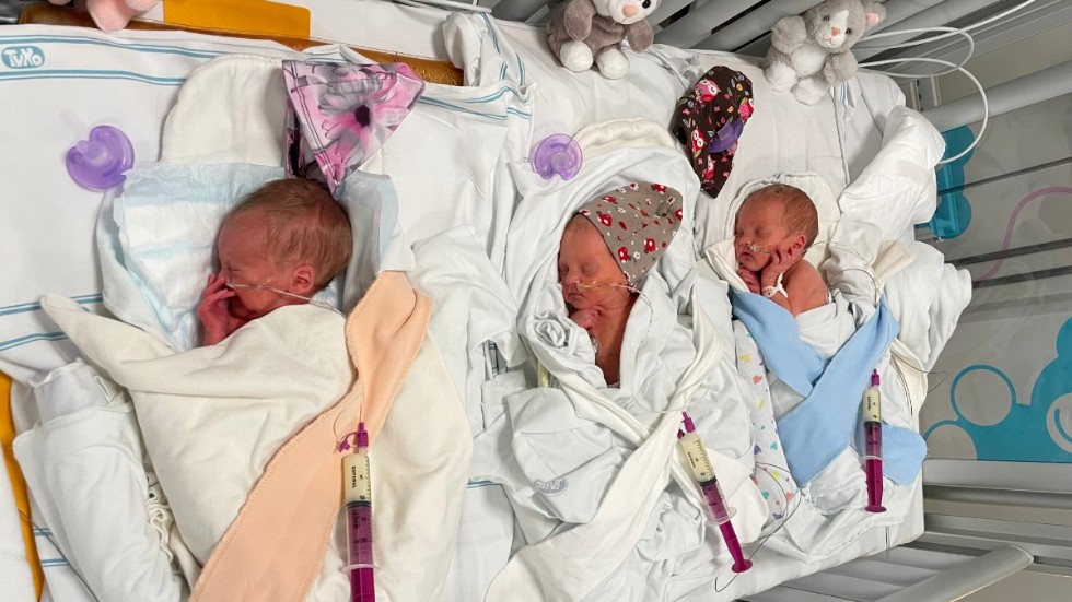 Trillingarna ligger i en säng med tydliga namnskyltar. Till skillnad från Vera, som har ett födelsemärke, är de väldigt lika. "Skulle jag få en av dem i famnen är jag osäker på om jag skulle kunna säga vem det är", säger Philip Bärås.