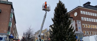 Årets julgran har anlänt till centrum