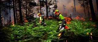 Nu ska skogen tändas på – kan påverka boende