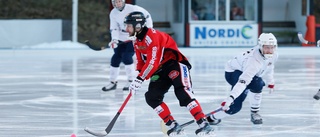 Avhopp kan påverka Tjust Bandy