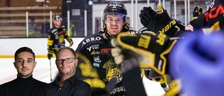 Fem punkter: "Så ska Vimmerby Hockey nå playoff"