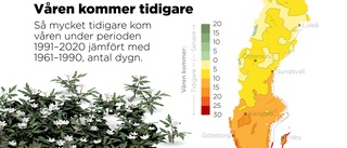 Våren har kommit till Gotland – även om det kanske inte känns så just nu