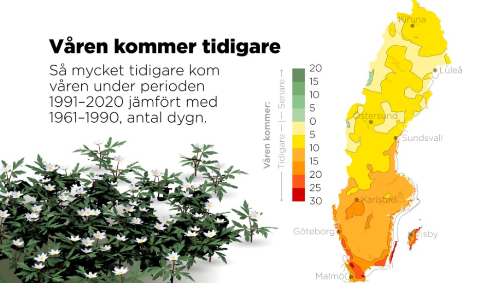 Så mycket tidigare kom våren under perioden 1991–2020 jämfört med 1961–1990, antal dygn.