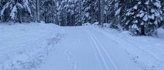 Skidspåren på Grisberget dragna – gångare trotsar förbudet direkt: "Faller inte alla i smaken"