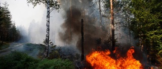 Östgötska brandmän kvar vid storbranden