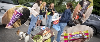 SN:s testpanel testar nya glassar – Izzy, 11: "Lakrits är det värsta som finns på denna jord"